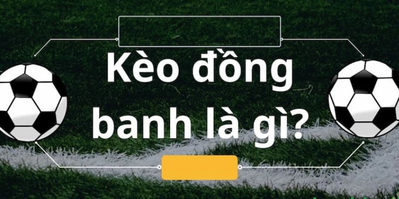 Chi tiết về kèo cược đồng banh cho người mới 