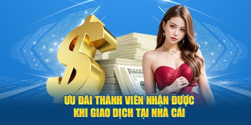 Các ưu đãi tại nhà cái